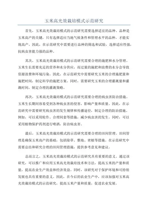 玉米高光效栽培模式示范研究