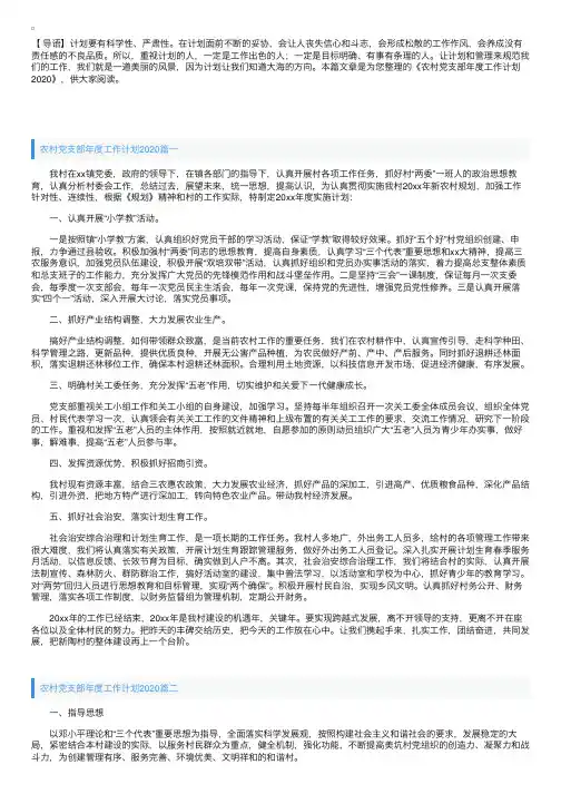 农村党支部年度工作计划2020