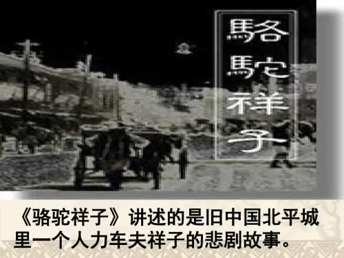 《在烈日和暴雨下》PPT课件