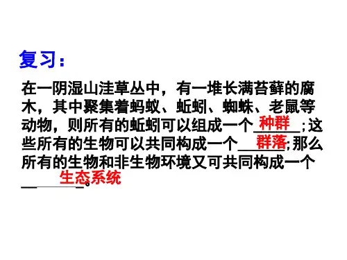 生态系统的结构完整版人教版1课件