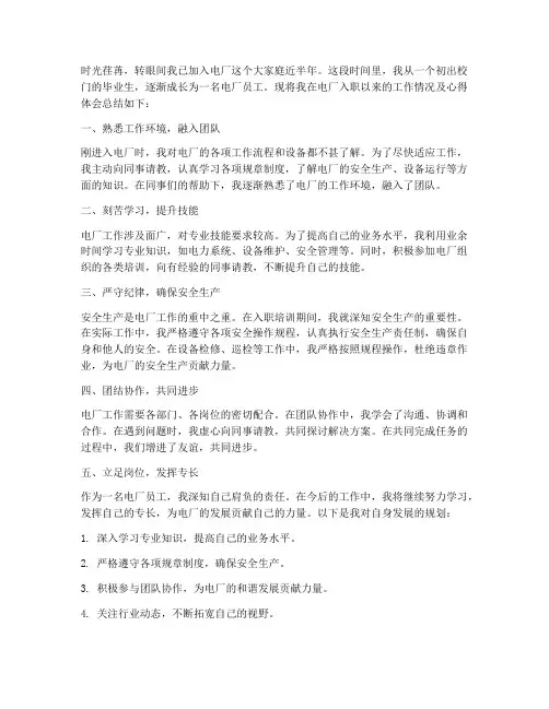 电厂入职总结范文