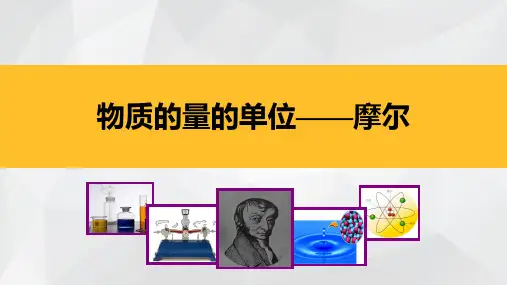 人教版教材《物质的量》完美课件2