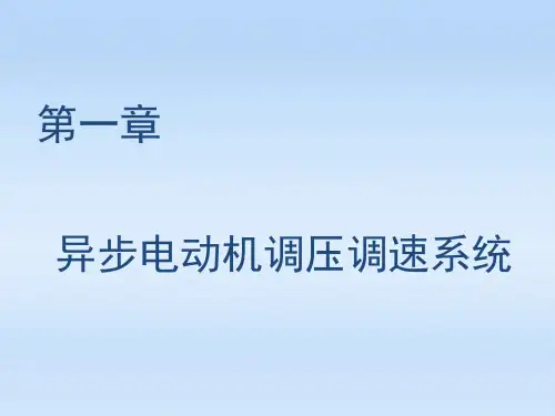 现代交流调速系统第一章