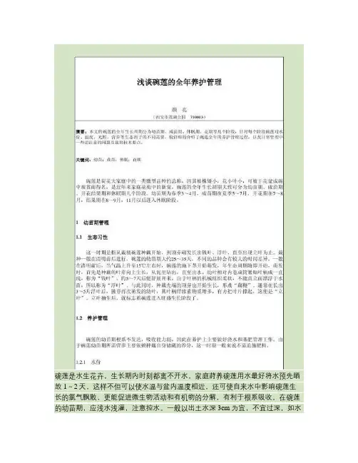 浅谈碗莲的全年养护管理