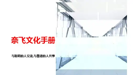 全球风靡的奈飞文化手册