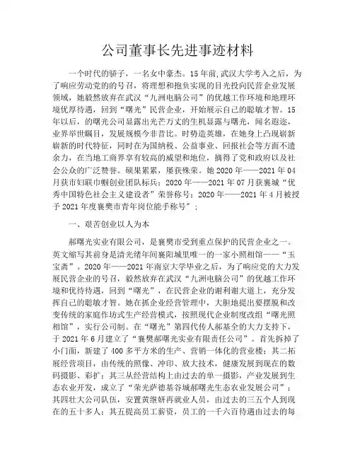 公司董事长先进事迹材料