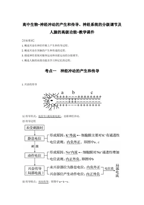 高中生物-神经冲动的产生和传导、神经系统的分级调节及人脑的高级功能-教学课件之神经冲动的产生和传导