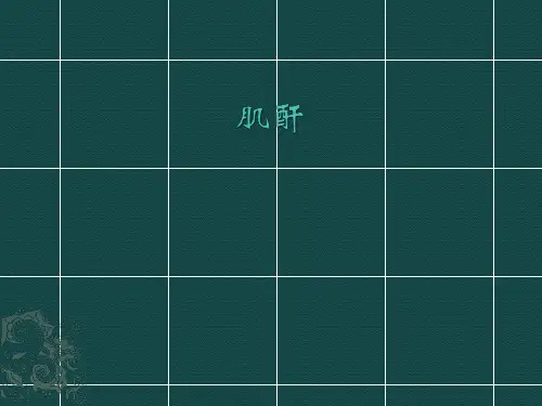 肌酐1