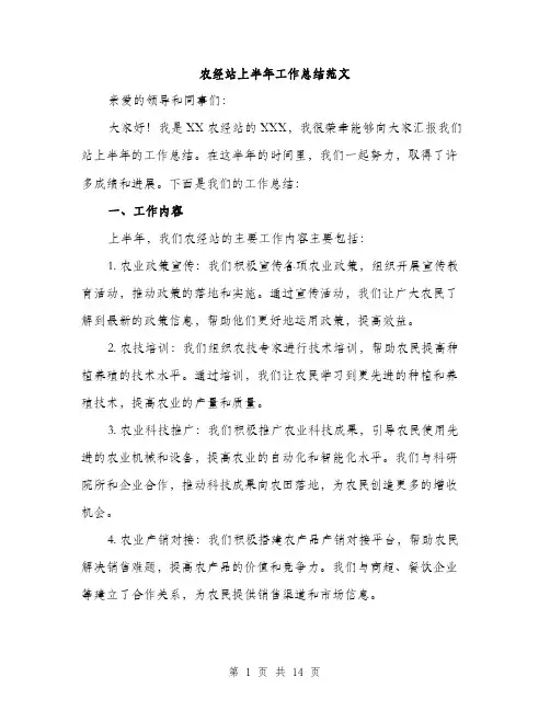 农经站上半年工作总结范文（五篇）