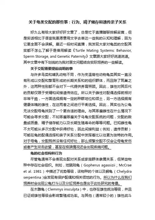 关于龟类交配的那些事：行为、精子储存和遗传亲子关系