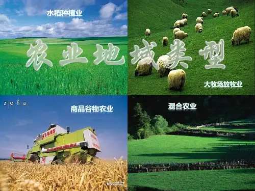 农业地域类型(高三一轮复习)