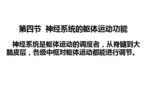 神经系统生理ppt课件