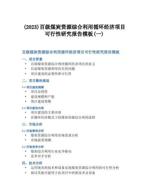 (2023)百级煤炭资源综合利用循环经济项目可行性研究报告模板(一)