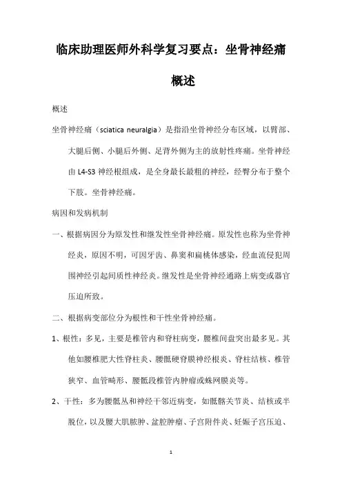 临床助理医师外科学复习要点：坐骨神经痛概述