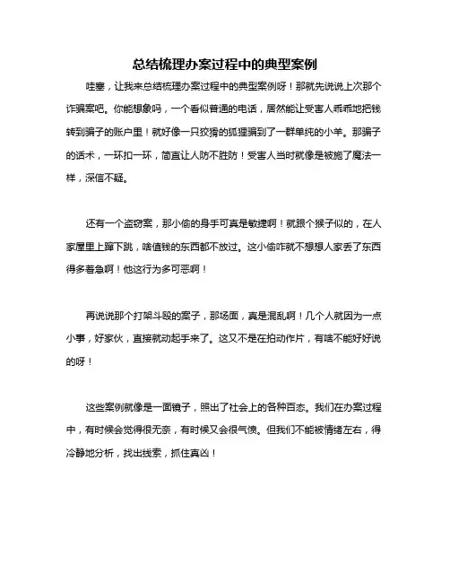 总结梳理办案过程中的典型案例