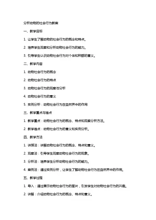 分析动物的社会行为教案