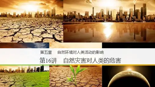 高考地理一轮复习课件 自然灾害对人类的危害