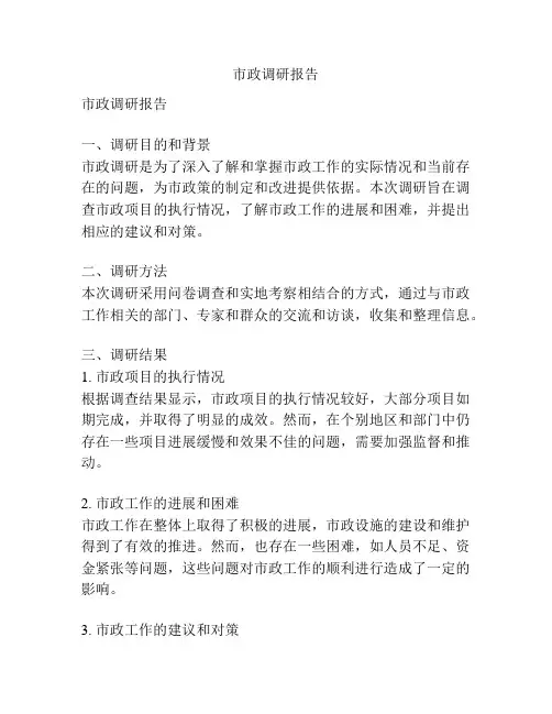 市政调研报告