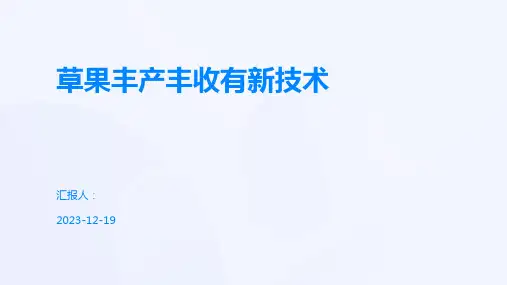 草果丰产丰收有新技术