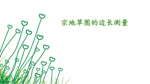 宗地草图的边长测量