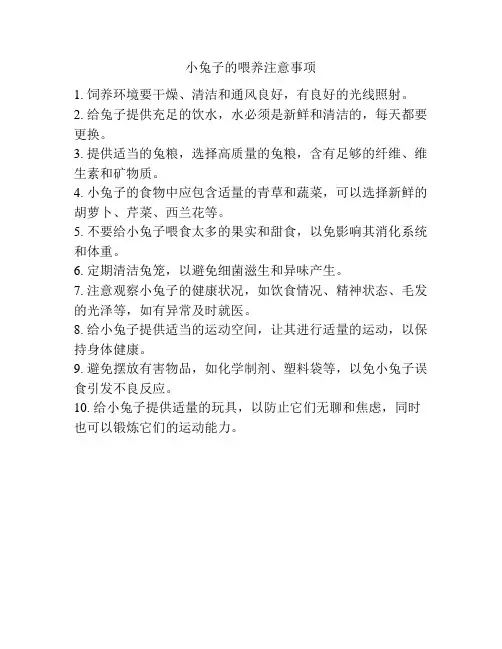 小兔子的喂养注意事项