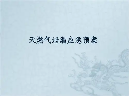 天燃气泄漏应急预案ppt课件