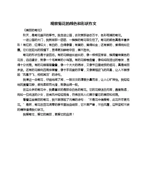 观察菊花的颜色和形状作文