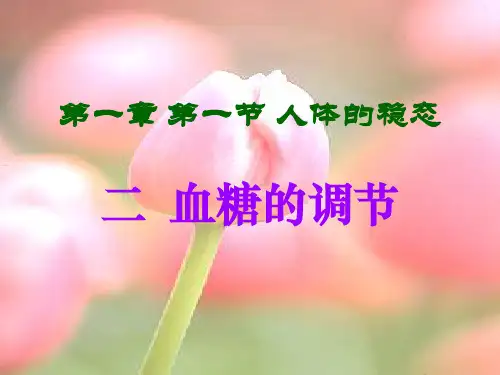 血糖的调节高三高中生物教学课件课件.ppt