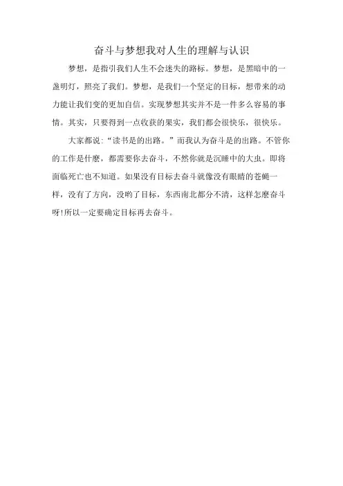 奋斗与梦想我对人生的理解与认识
