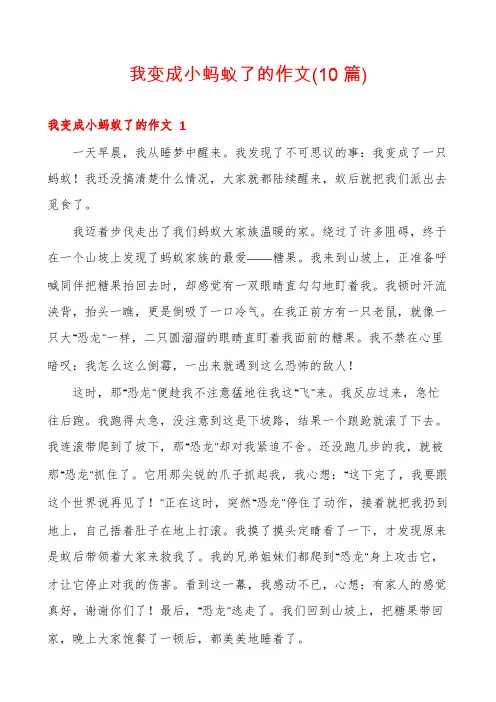 我变成小蚂蚁了的作文(10篇)
