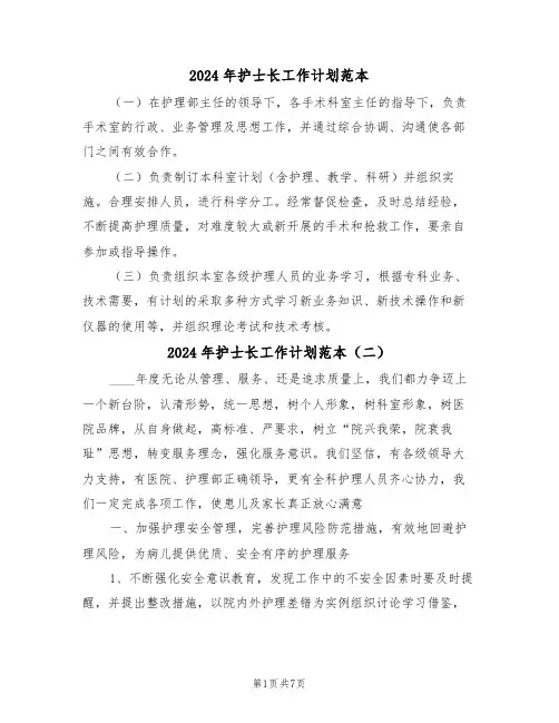 2024年护士长工作计划范本(三篇)