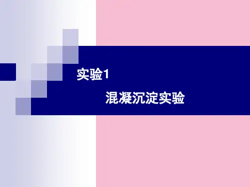 实验混凝沉淀实验ppt课件
