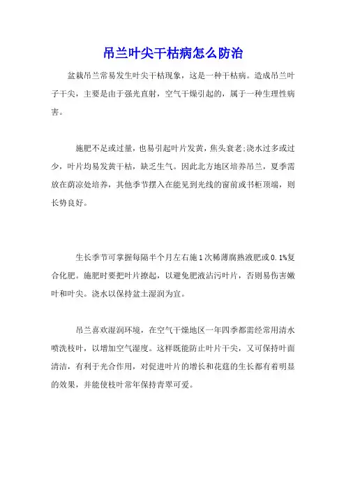 吊兰叶尖干枯病怎么防治