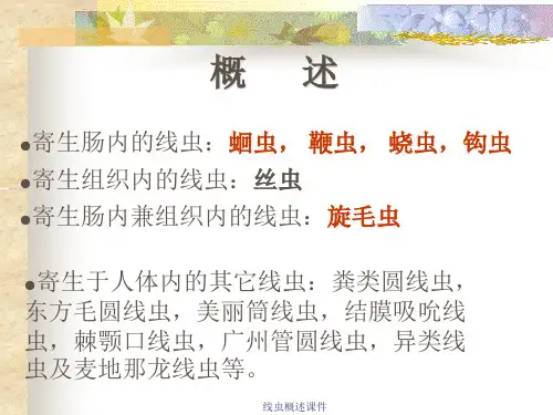 线虫概述课件