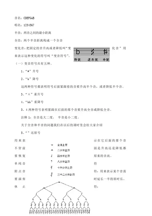 浙江省B级音乐考试乐理