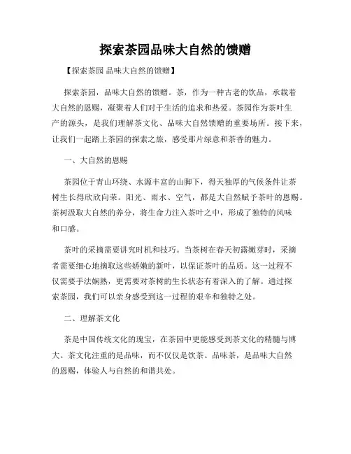 探索茶园品味大自然的馈赠