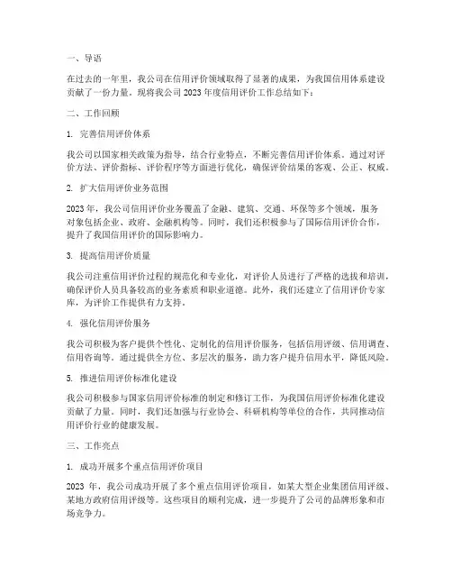 信用评价公司工作总结报告
