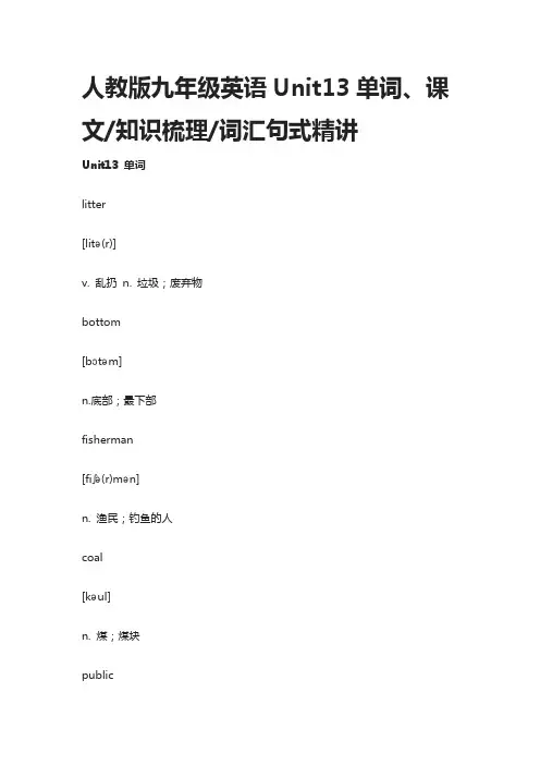 人教版九年级英语Unit13单词、课文,知识梳理,词汇句式精讲