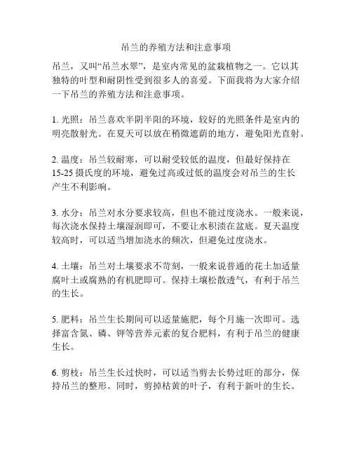 吊兰的养殖方法和注意事项