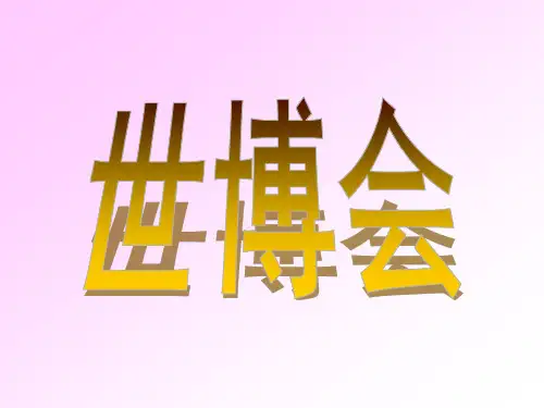 世博会(ppt文档)