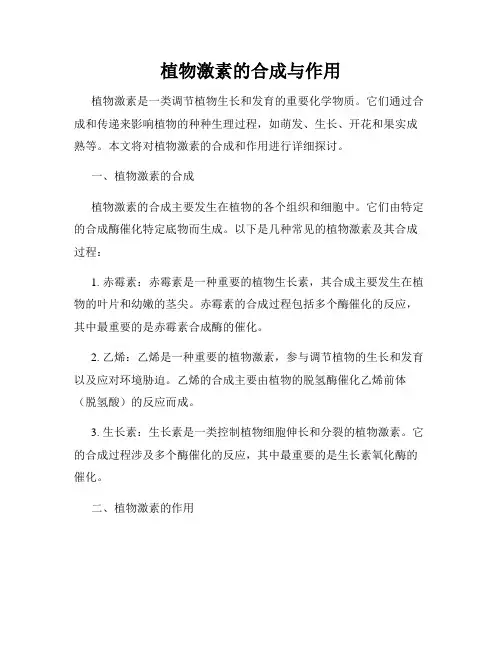 植物激素的合成与作用