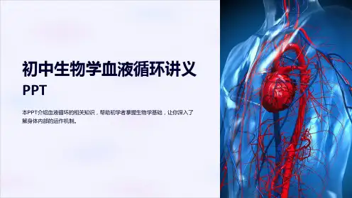 初中生物学血液循环讲义PPT