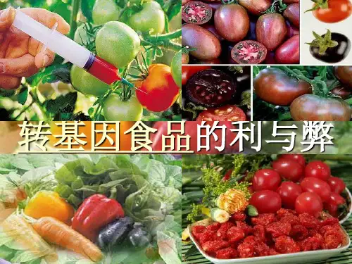 转基因食品的利与弊PPT课件
