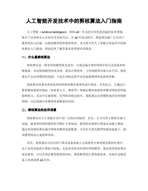 人工智能开发技术中的剪枝算法入门指南