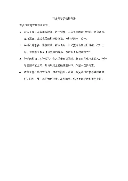 百合种球的栽种方法