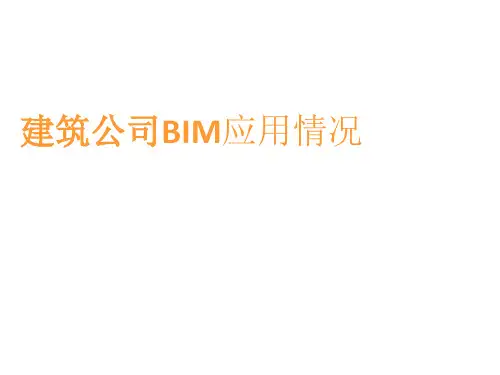 建筑公司BIM实际实施应用规范案例PPT课件