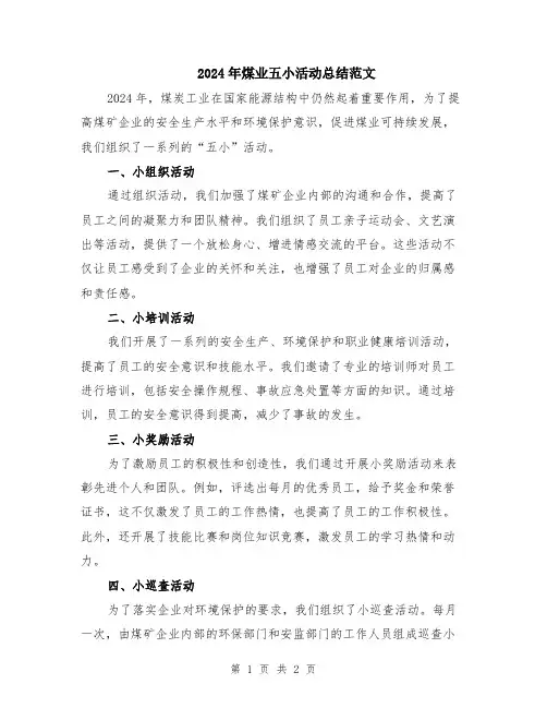2024年煤业五小活动总结范文