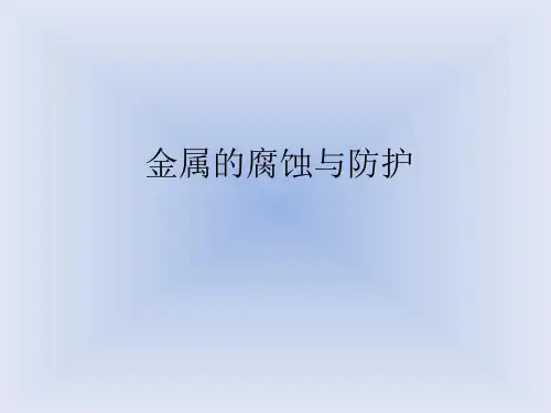 金属的腐蚀与防护..