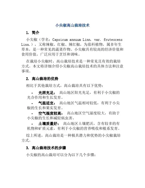 小尖椒高山栽培技术