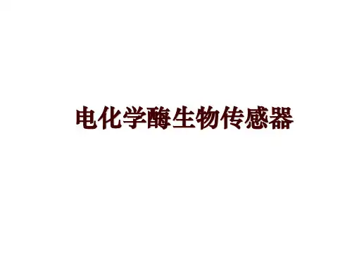 电化学酶生物传感器